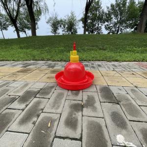 Cone Shaped plastic poultry drinker Durable Effective Watering