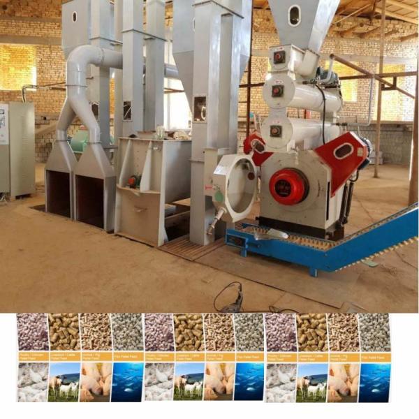 Buy cheap Flat Ring Die Pellet Mill Animal Feed Pelletizing Line for and Engineer Guide Installation from wholesalers