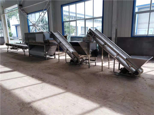 Quality big capacity garlic peeling line, garlic peeling machines, garlic peeler for sale