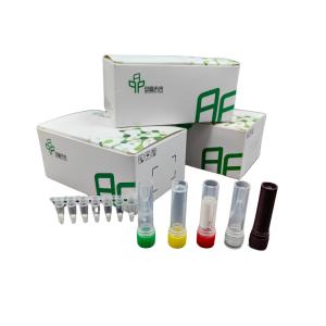 Buy cheap High Sensitivity RNA Amplification With Improved Detection Isothermal Kit from wholesalers