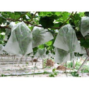 Polyester Polypropylene Non Woven Geotextile For Clothing And Geotechnical