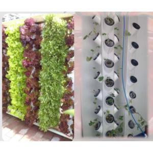 Buy cheap New Style Hydroponic Growing Systems Tower Garden Aeroponics System from wholesalers