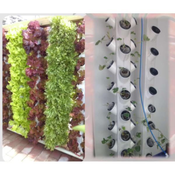 Buy cheap New Style Hydroponic Growing Systems Tower Garden Aeroponics System from wholesalers