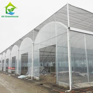 Buy cheap Multi-span Agricultural Poly Tunnel Greenhouse With UV Resistant Plastic from wholesalers