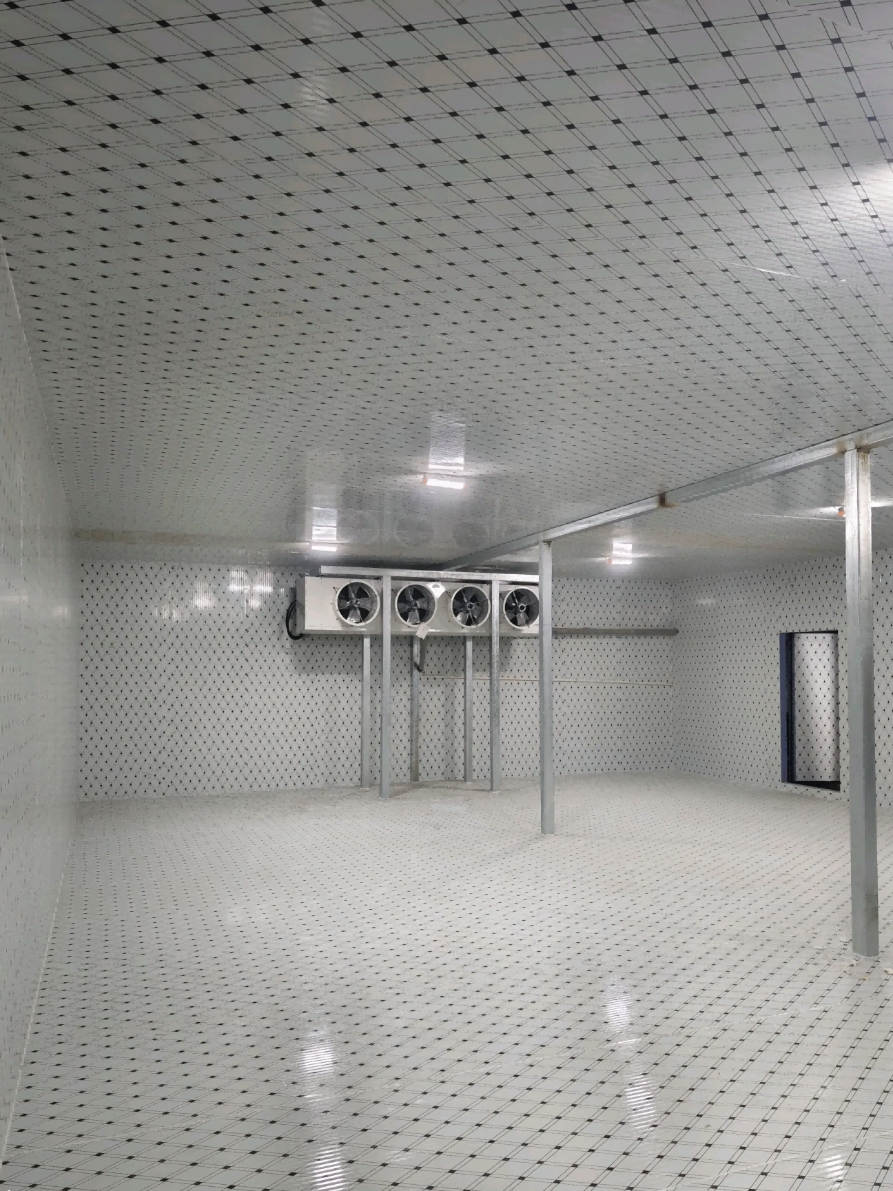 Customizable Cold Storage Room Available in Various Sizes and Temperature Ranges