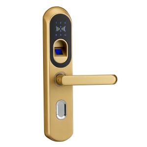 Outdoor Keyless Biometric Fingerprint Door Locks With Deadbolt