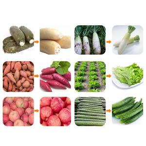 industrial Automatic seafood Fish Washing Machine bubble fish cleaning machine