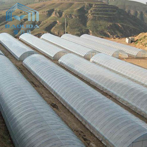 Buy cheap Polyethylene Film Tunnel Steel Frame Greenhouse Single Span Ground Inserted from wholesalers