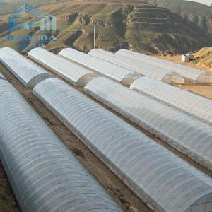 Buy cheap Polyethylene Film Tunnel Steel Frame Greenhouse Single Span Ground Inserted from wholesalers