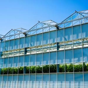 Galvanized Steel structure With Hydroponic Growing Systems Automated Intelligent