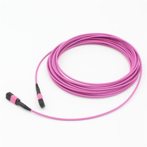 Quality Elite Multimode OM4 50/125, Plenum OFNP Type B MPO patch cord 1m 3ft MTP-12 PC Female to MTP-12 PC Female for sale