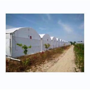 Buy cheap 8m-12m Span Width Fully Automated Blackout Greenhouse For Superior Agriculture product