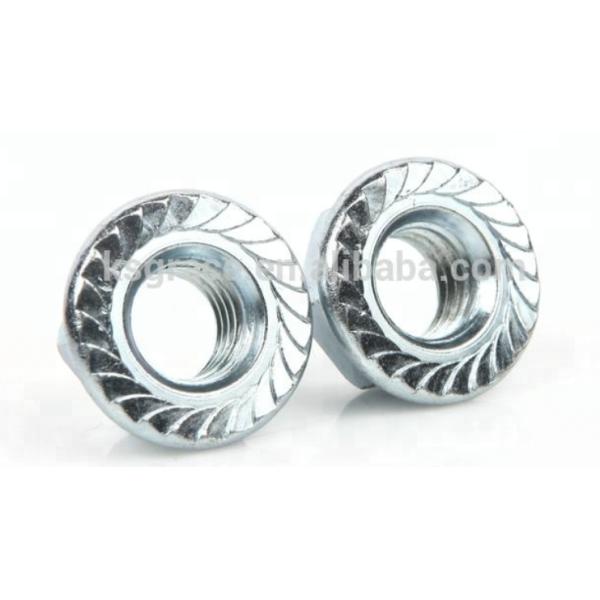DIN6923 Hex Flange Nuts, Hex Serrated Flange Nut