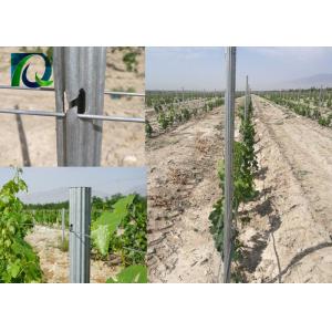 2.0MM Metal Trellis Posts Heavy Duty With W Shaped Section