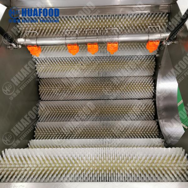 Quality Small carrot washing machine/ Stainless steel wool roller cleaning machine/ Root vegetable cleaning and peeling machine for sale