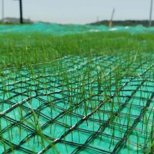 Buy cheap Coconut Turf Reinforcement Mat (TRM) Erosion Control Blanket ( ECB) For slope protection to reinforce the root system from wholesalers