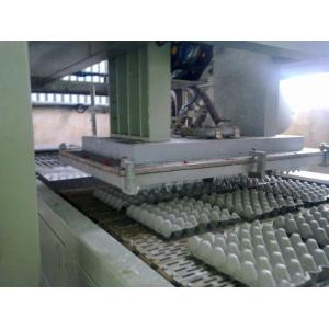 Reciprocating Pulp Packaging Machine Paper Egg Tray Making CE Certified