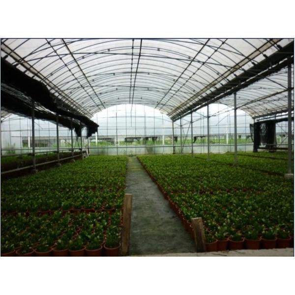 Durable Multi Span Greenhouse Arched Roof Plastic Film Cover 0.12 / 0.15 / 0.20mm