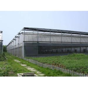 Buy cheap Agricultural Vegetable Tunnel Multi-Span Plastic / Poly Greenhouse from wholesalers
