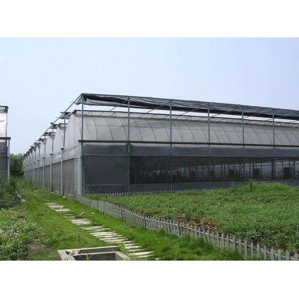 Quality Agricultural Vegetable Tunnel Multi-Span Plastic / Poly Greenhouse for sale