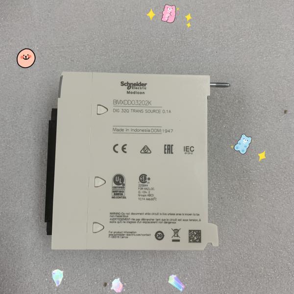 Quality SCHNEIDER BMXDDO3202K Modicon Discrete Output Module 24VDC 0.1A NEW for sale