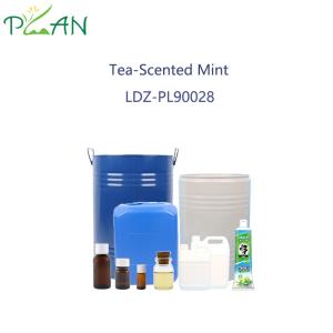 Popular Tea-Scented Mint Fragrance For Toothpaste & Oral Used Products