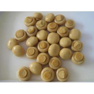 Buy cheap 184G Mushroom Canned Fresh Slices / Pieces And Stems HALAL Certification from wholesalers