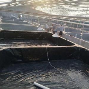 Buy cheap Thickness 0.3mm-2.8mm HDPE Geomembrane for Waterproof Fish Pond Liner and Dam Liner from wholesalers
