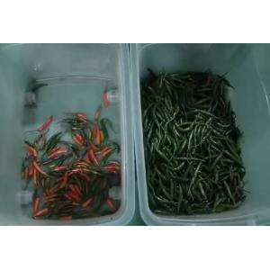 Good Price Optical Intelligent Vision Chili Sorting Machine Mineral Coal Fuel