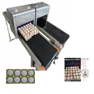 Small Size Egg Marking Equipment Customize Printer With Clean Maintenance