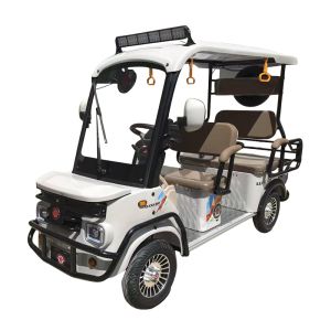 Breakthrough 4-Seat Capacity Electric Passenger Four-Wheeler with 1000W Motor