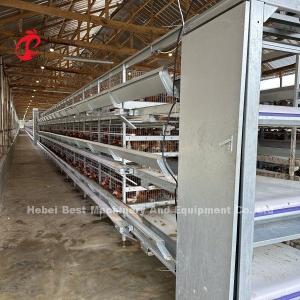 Egg Chicken Farming Poultry Layer Cage Electrostatic Spraying Ada