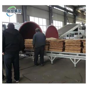 Evaporation Capacity kg/h Customization Wood High Frequency True Dryer for