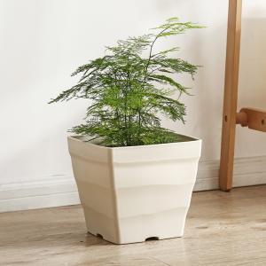 Buy cheap 25x25cm Quadrate Polyresin Square Recycling Plastic Nursery Pots from wholesalers