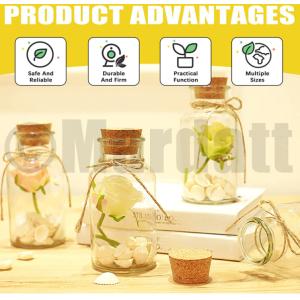 Buy cheap Natural Cork Soft Wine Bottle Wooden Conical Combo Set for Wine Beer Glass Bottle 6 Sizes Custom Order from wholesalers