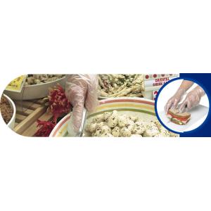 Buy cheap Cornstarch Made Biodegradable Compostable Disposable Food Hand Disposable Transparent Gloves, Long sleeves from wholesalers