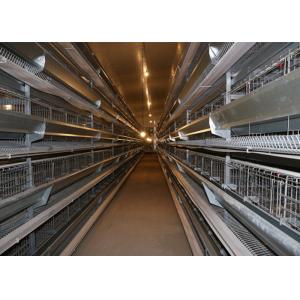 Galvanized Steel Structure Farm Windproof Steel Frame Chicken Coop