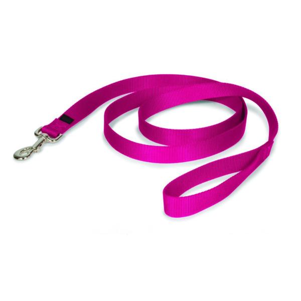 Strong and Durable Traditional Style Nylon Dog Leash with Easy to Use Collar