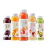 Buy cheap PET Bottle Filling Machine With Peristaltic Pump Beverage Filling Machine from wholesalers