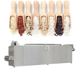 Automatic Artificial Rice Extruder Machine 250kg/H