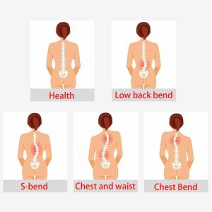 Custom Precise Scoliosis Scoliometer Measurement With Spine Contour