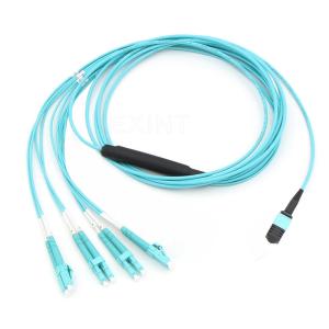 Buy cheap KEXINT MPO To LC Fiber Optical Patch Cord 8 Core 3m Singlemode Multimode from wholesalers