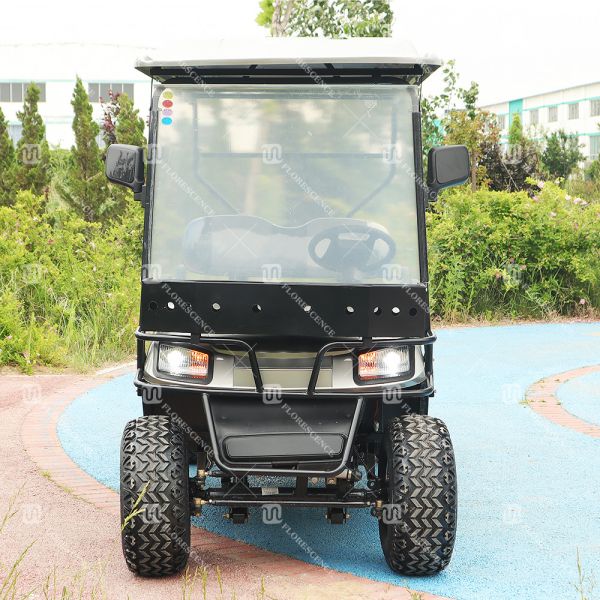 Buy cheap ODM Electric Interstate 2 Seater Golf Cart With Under Seat Storage from wholesalers