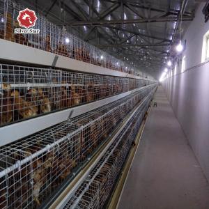 Buy cheap Baby Chicks Cage Include Drinking System from wholesalers
