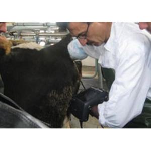 Buy cheap Digital Veterinary Ultrasound Scanner from wholesalers