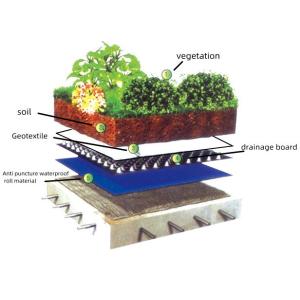 Plastic Dimpled Foundation Membrane for Waterproofing and Drainage System