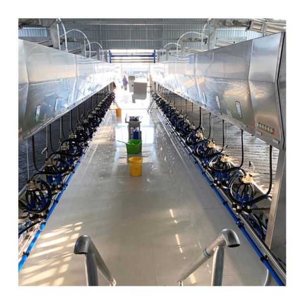 Buy cheap 24-100 Point Electronic Metrological Milking Parlour Automatic Cow Machine System from wholesalers
