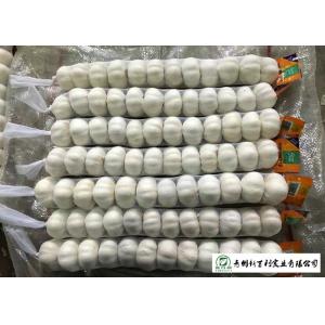 Buy cheap Normal White Fresh Organic Garlic , Raw Garlic -3 ℃ To 0 ℃ Transporting Temperature from wholesalers