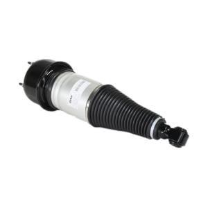 Rear Spare Parts Air Suspension Spring Absorbers Shock Strut For Jaguar XJ