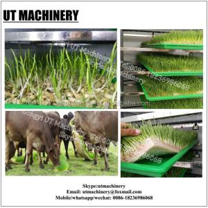 Bean Roots Processing Equipment for Daily Water Consumption of 3m3 Sprouts